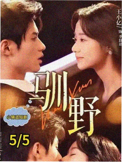 犯罪年代韩剧汉江往事海报